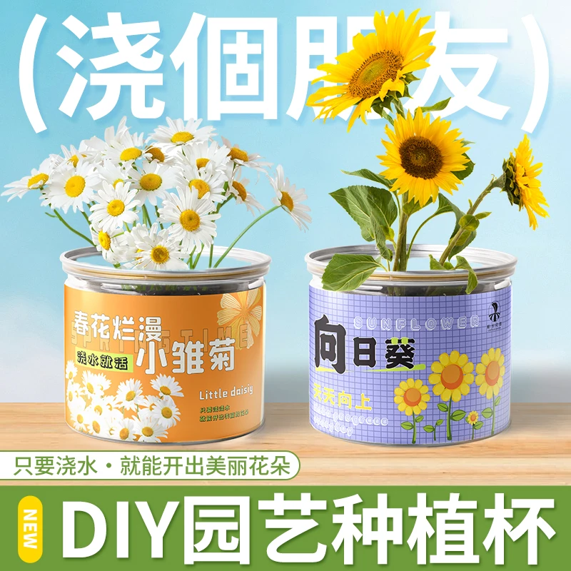 植开心™种植小盆栽室内好养桌面儿童迷你罐头植物向日葵含羞草