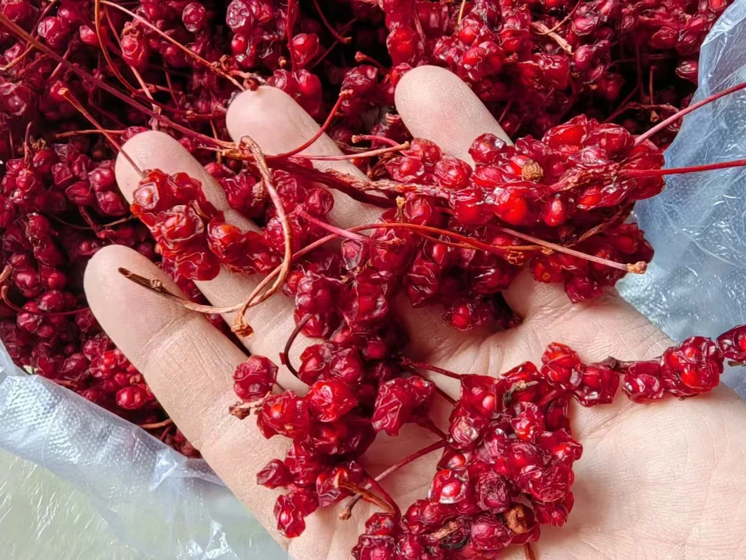 长白山野生五味子｜500g