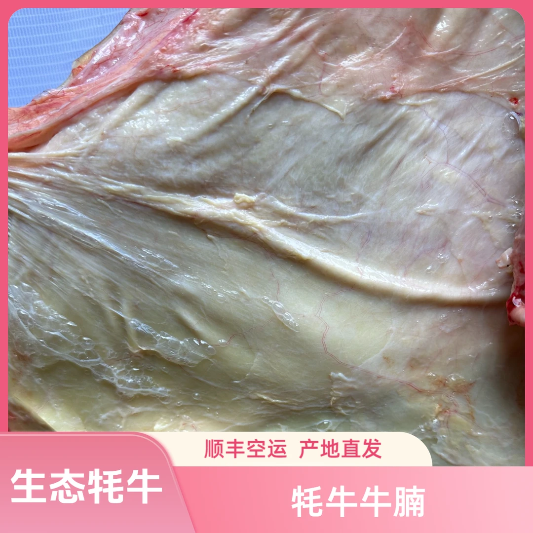 【牦牛牛腩】 顺丰空运 一物一拍