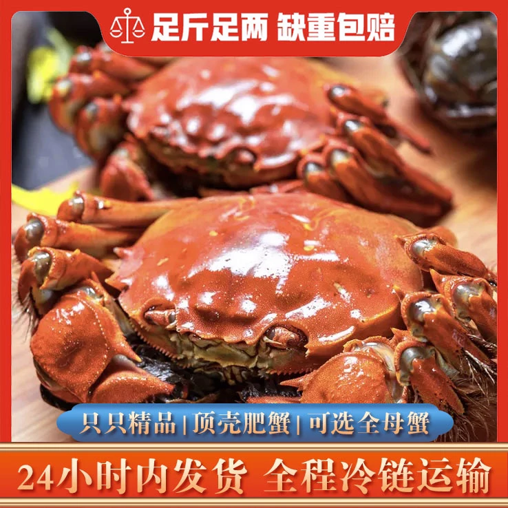 崇明清水蟹3.5两公蟹产地直发