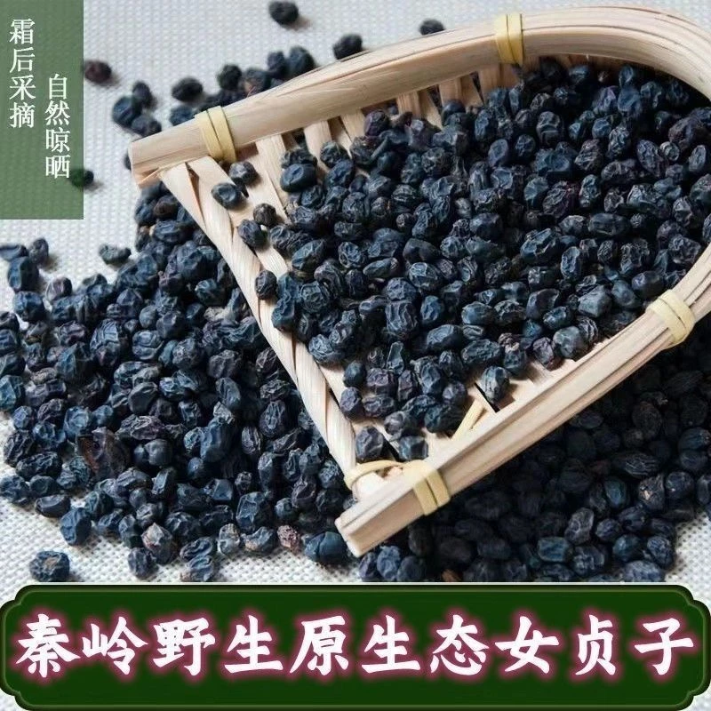 女贞子冬至采正宗女贞子冬青籽女贞子颗粒包邮