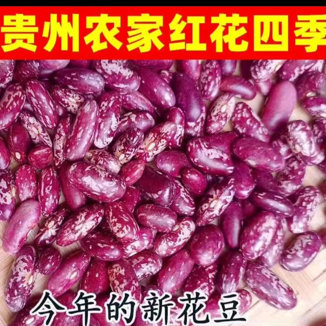 1-5斤贵州四季豆红花豆四季豆芸豆紫花豆花云豆红豆酸菜豆