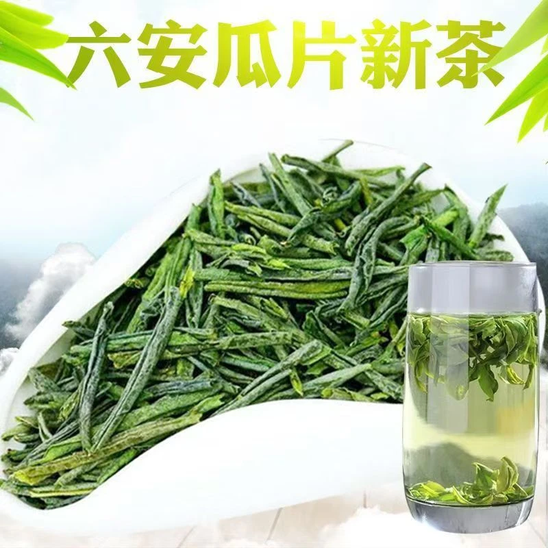 六安瓜片 正宗 香浓耐泡