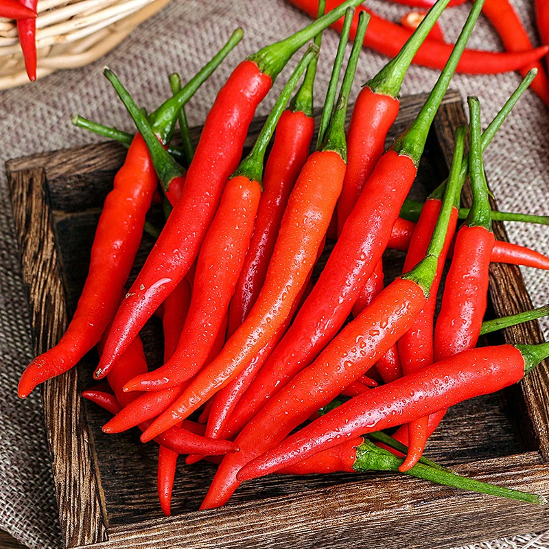 【小刘山货】云南中缅边境农家土特产=新鲜小米辣