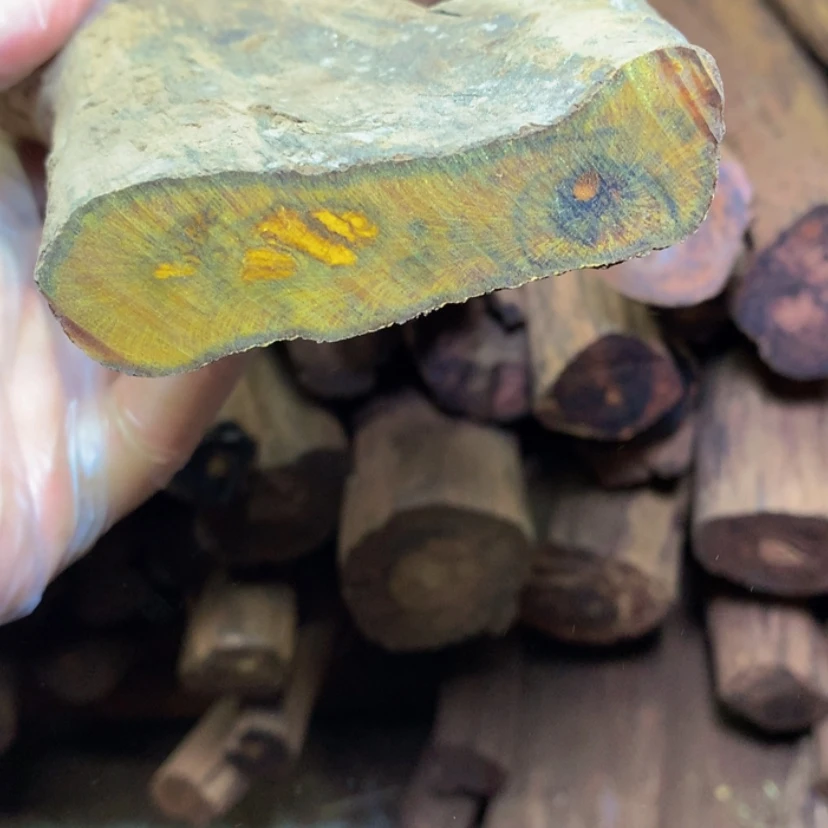 【闪购商品】贡木其他我**素定制