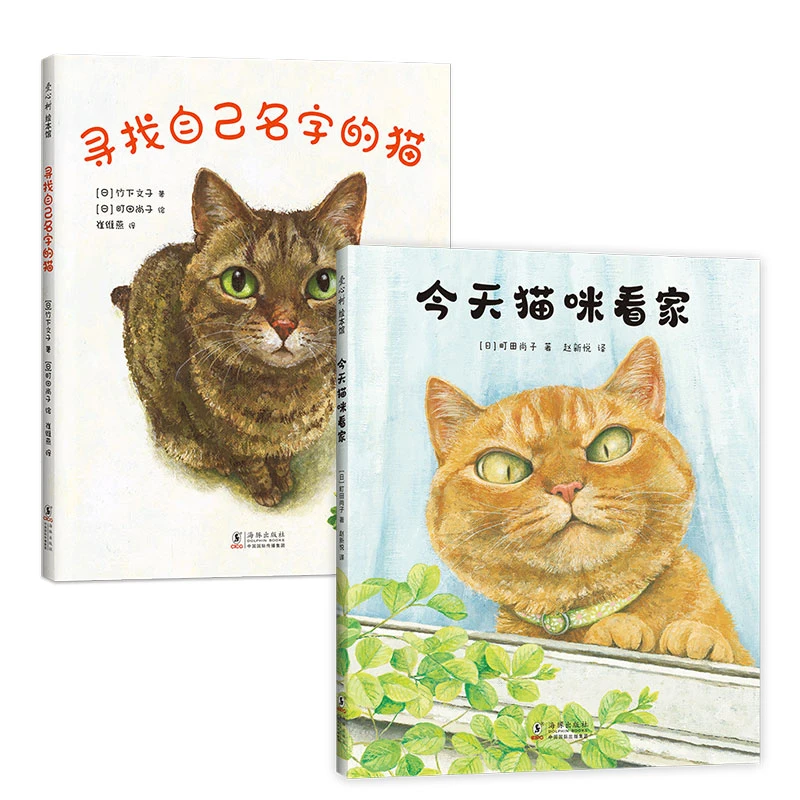 【爱心树官方】【多规格】今天猫咪看家 寻找自己名字的猫 单册 套装