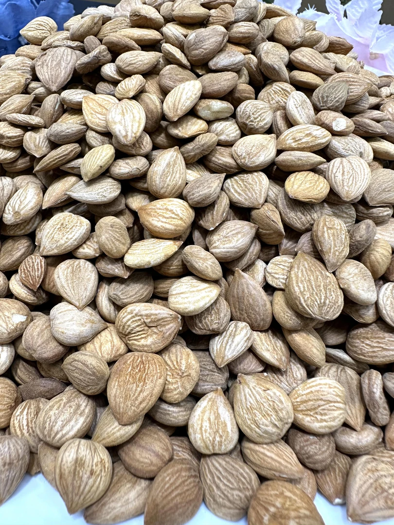 【拉姑臻选】精选南杏仁/北杏仁200g（杏干)