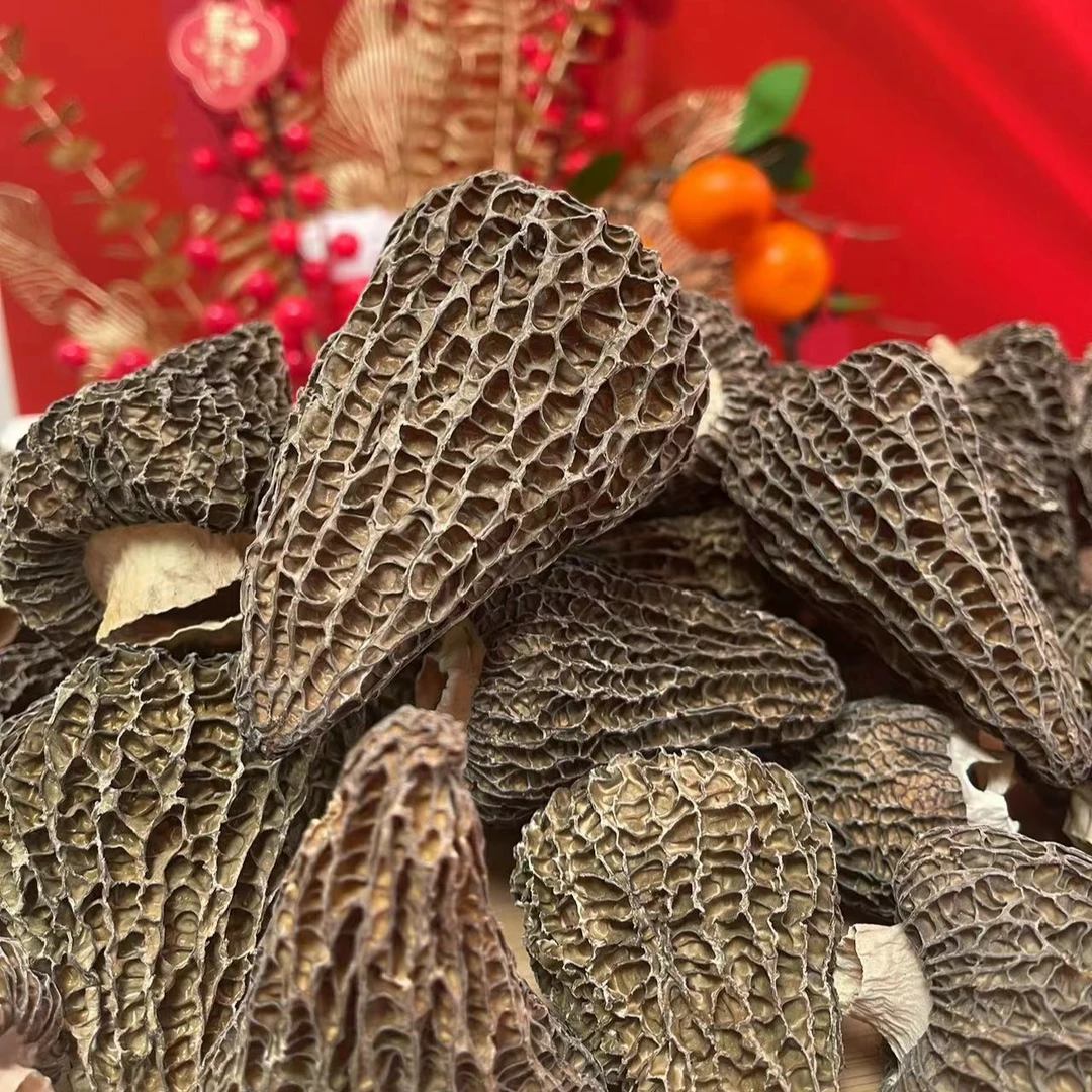 【拉姑臻品】精选羊肚菌