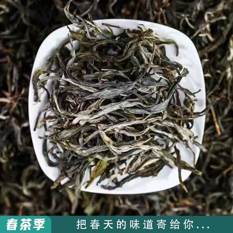 云南普洱茶生普【小户赛茶山】散茶古树大叶种2024头春料