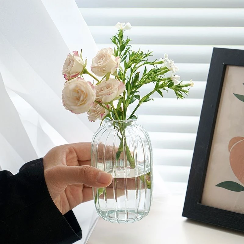 （2只装）家用ins风小清新插花玻璃创意花瓶