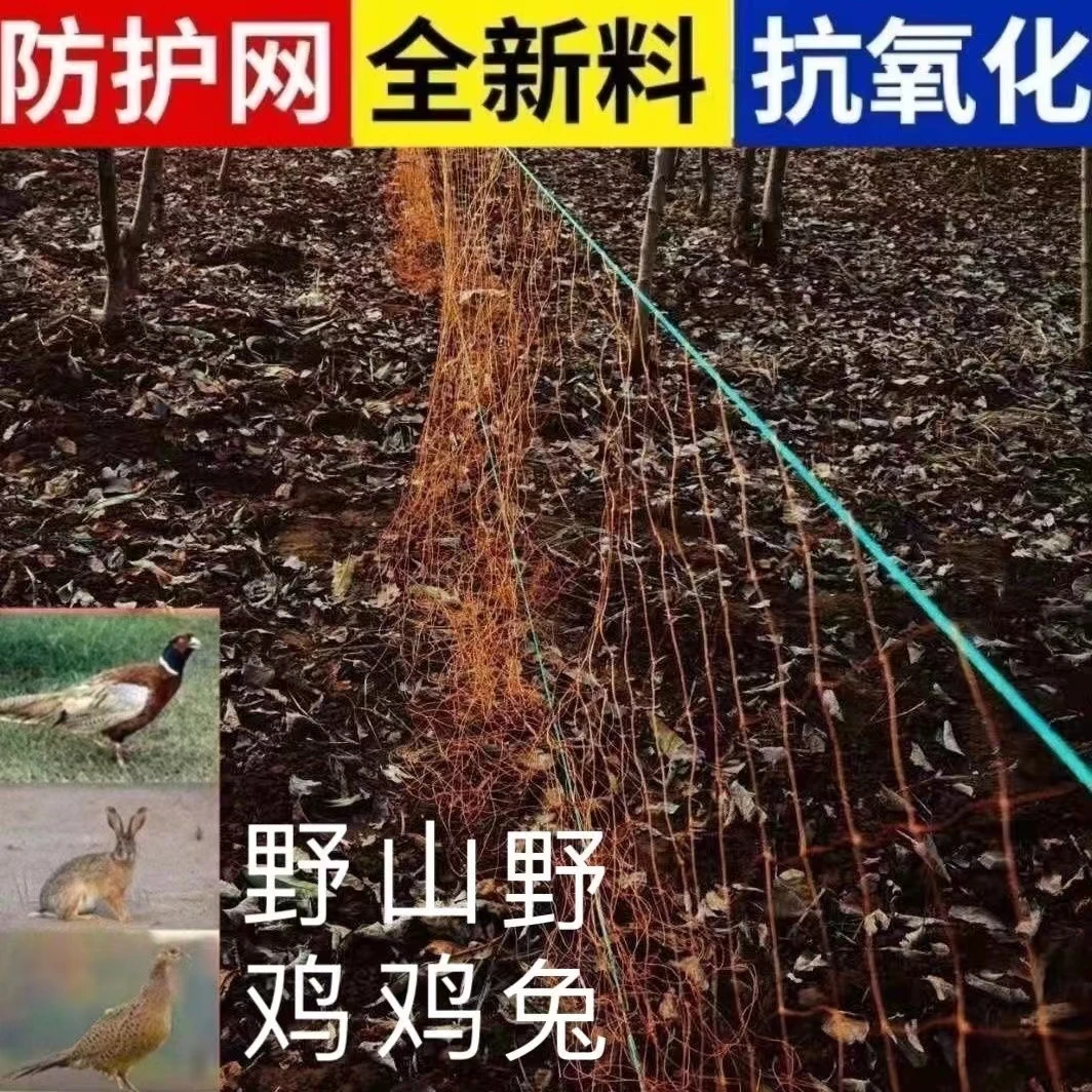 户外拦鸡网养兔网轮胎线网尼龙网农村围栏抓鸡网防护网