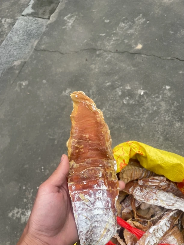 精选笋干一斤包邮
