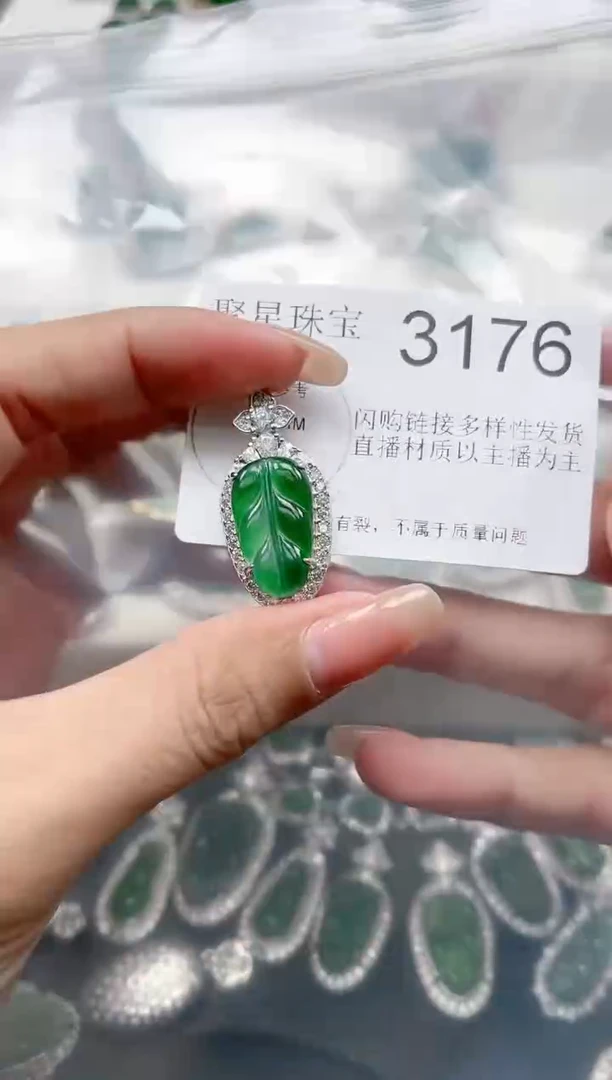 【闪购商品】翡翠颈饰未镶嵌赠皮绳3176