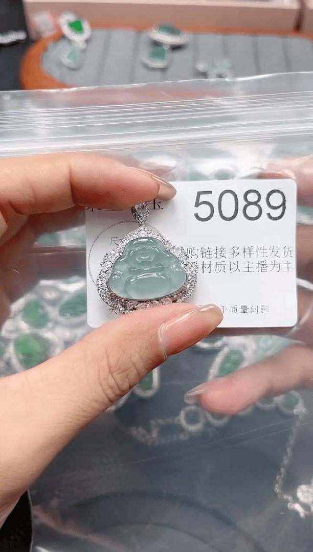 【闪购商品】翡翠颈饰未镶嵌【赠皮绳】5089