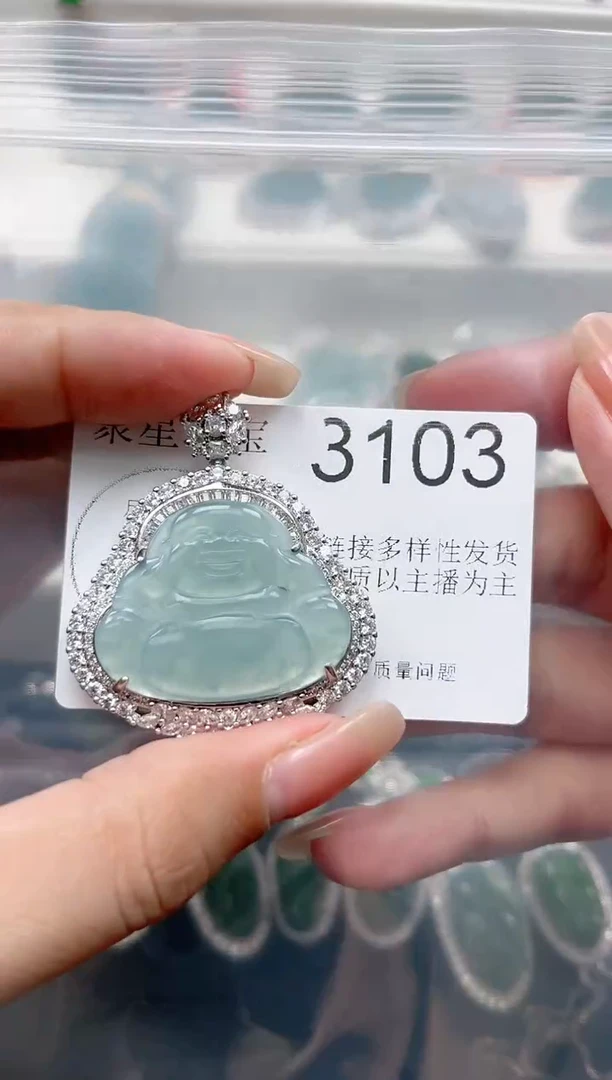 【闪购商品】翡翠颈饰未镶嵌赠皮绳3103