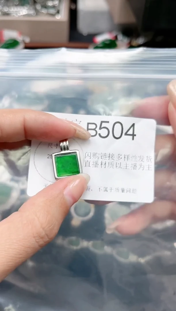 【闪购商品】翡翠颈饰未镶嵌赠皮绳504
