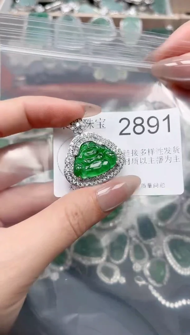 【闪购商品】翡翠颈饰未镶嵌2891(赠皮绳)