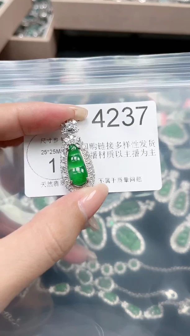 【闪购商品】翡翠颈饰未镶嵌赠皮绳4237