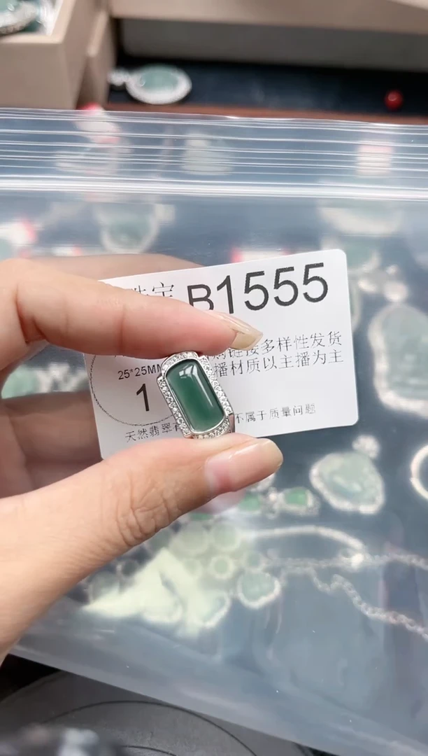 【闪购商品】翡翠颈饰未镶嵌赠皮绳1555