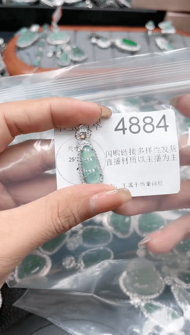 【闪购商品】翡翠颈饰未镶嵌【赠皮绳】4884