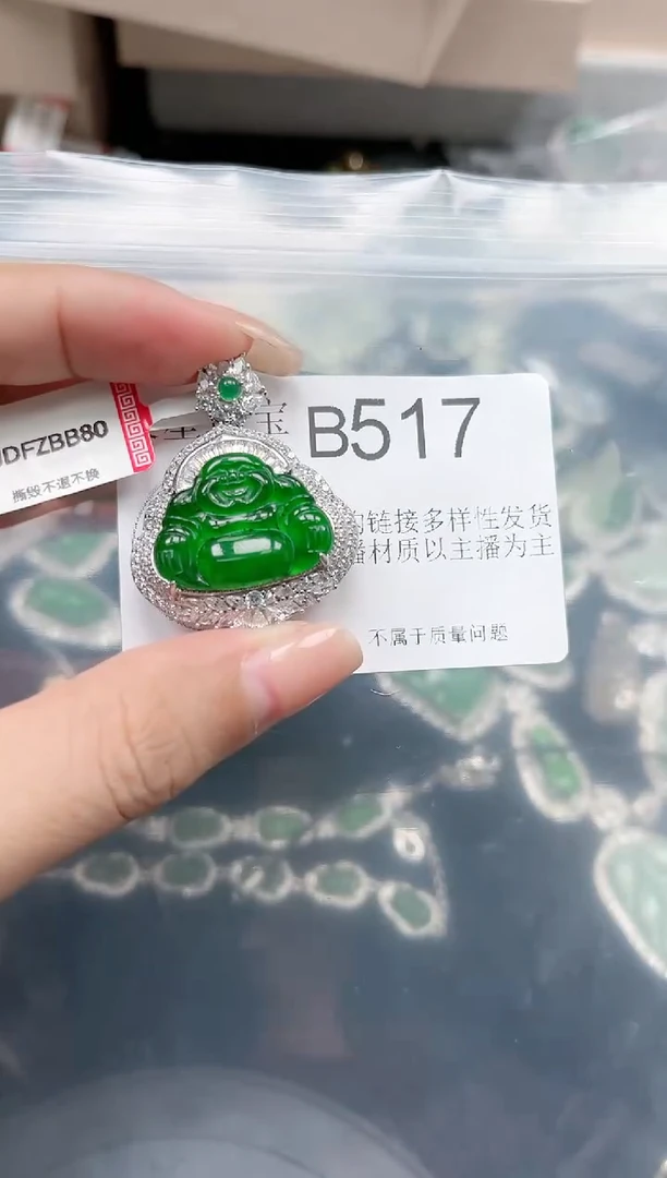 【闪购商品】翡翠颈饰未镶嵌赠皮绳517