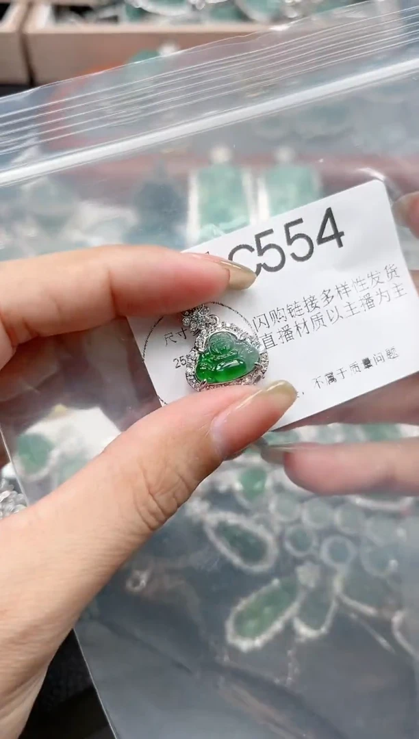【闪购商品】翡翠颈饰未镶嵌【赠皮绳】554