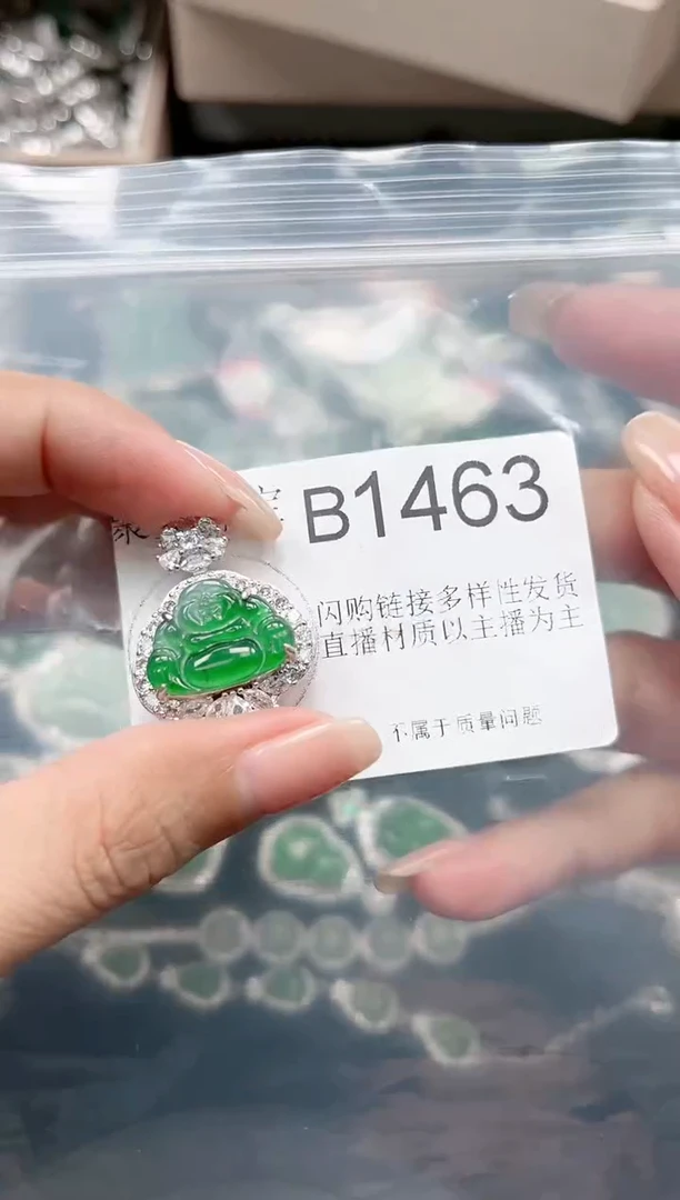 【闪购商品】翡翠颈饰未镶嵌赠皮绳1463
