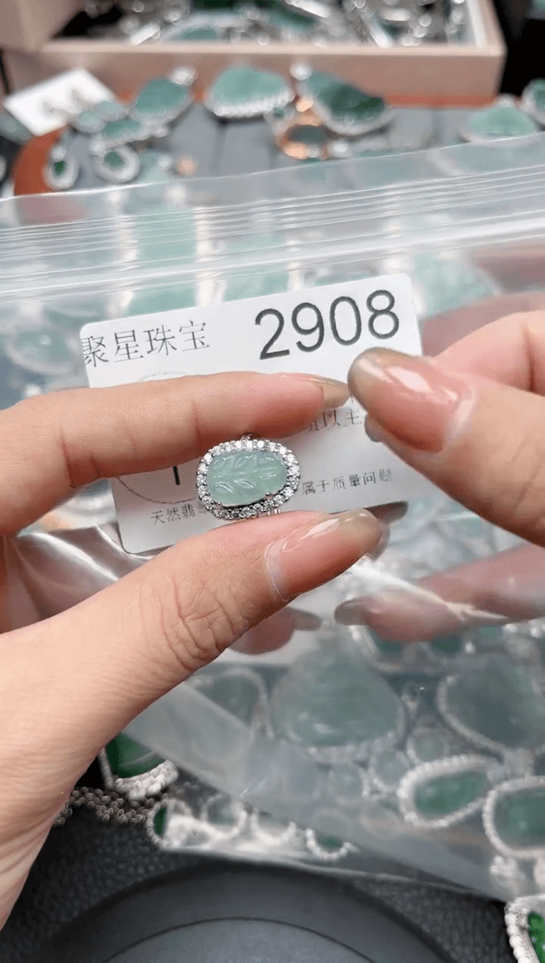 【闪购商品】翡翠颈饰未镶嵌【赠皮绳】2908