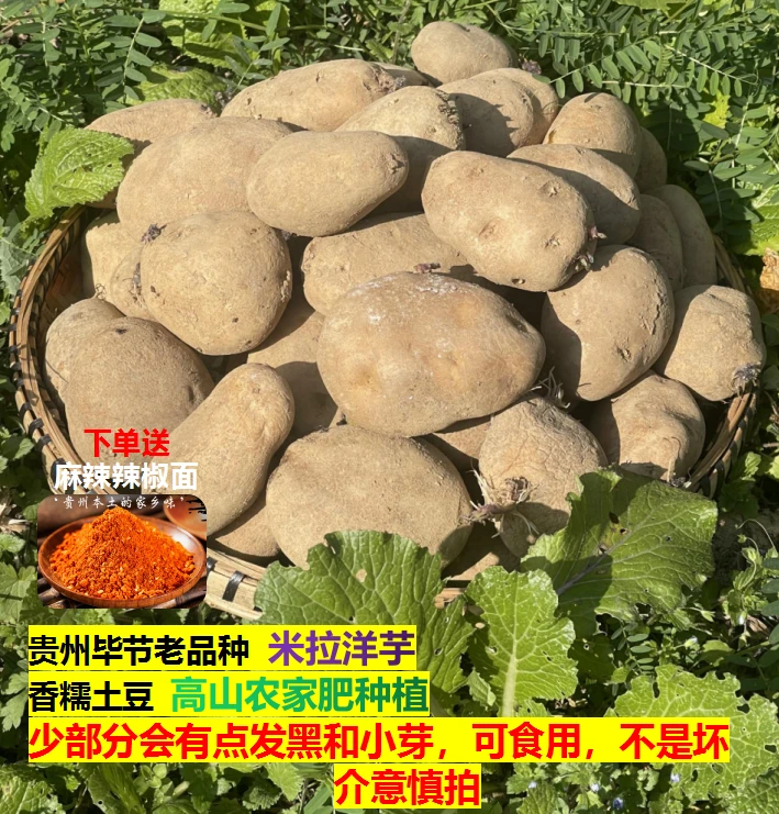 贵州干巴洋芋黑心沙地土豆农家种植米拉洋芋又糯又甜