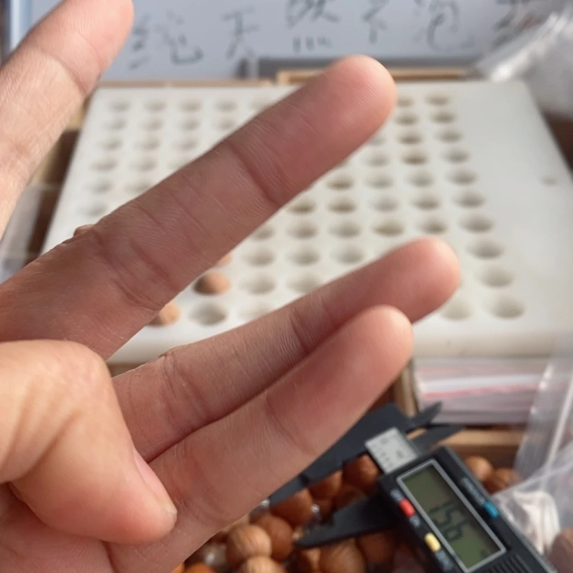 【闪购商品】猴头核桃吊坠果*爸凤羽15尺寸20颗打孔