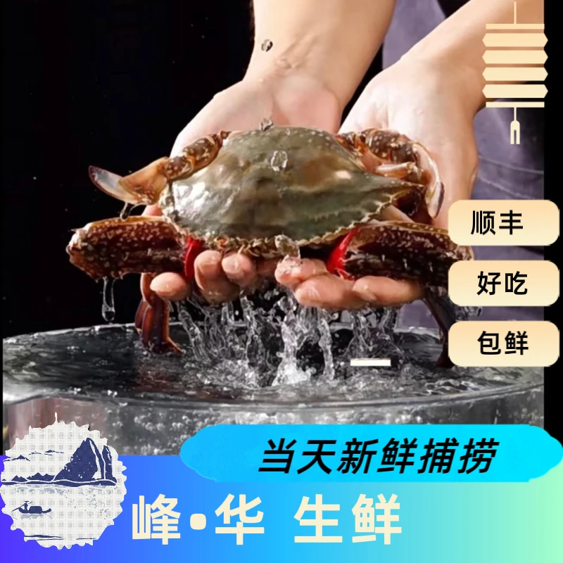【保鲜不保活】残公蟹肉母混搭1斤2.5只-3只（单只2-4两）掉爪绑腿