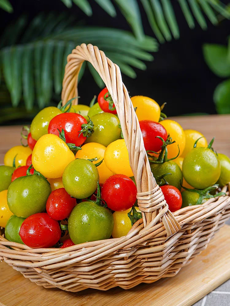 直播【顺丰包邮】新鲜三色西红柿圣女果正宗老品种小柿子3色小番茄