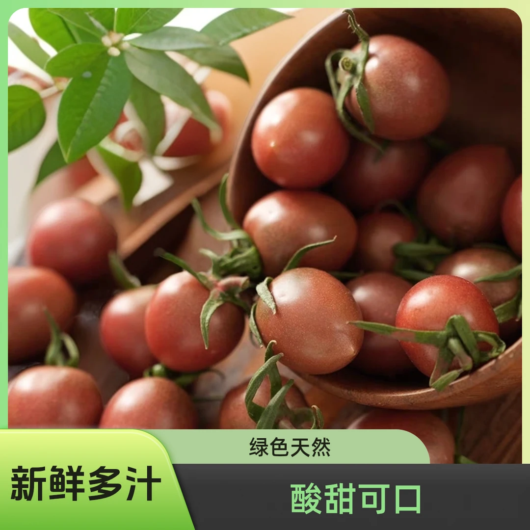 【寿光直发】新鲜紫樱桃圣女果铁皮酸甜绿色自然水果小水果千禧