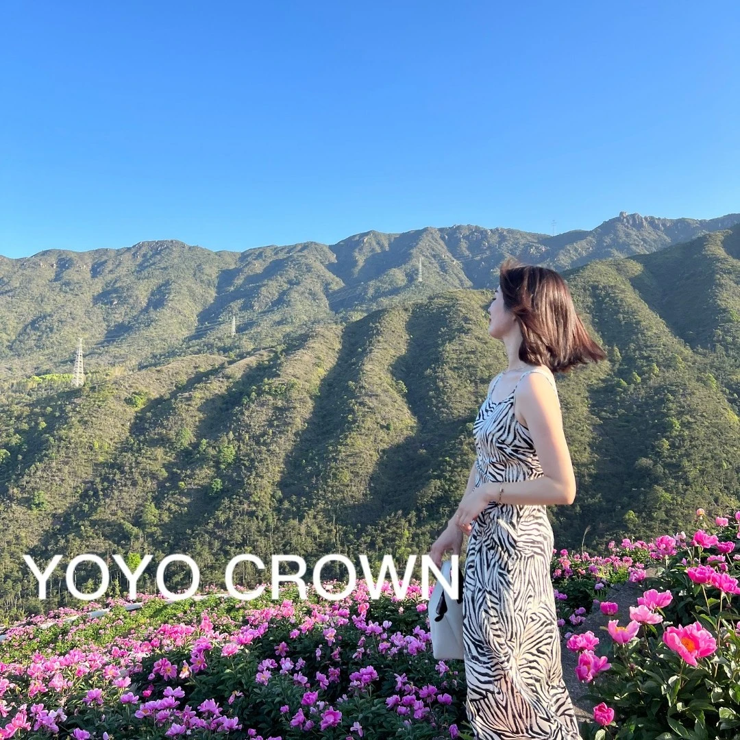 YOYO CROWN 高端轻奢吊带褶边斑马连衣裙夏季