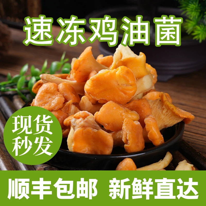 新鲜速鸡油菌云南基地可食用菌家庭火锅炒菜配菜菌香浓郁500克