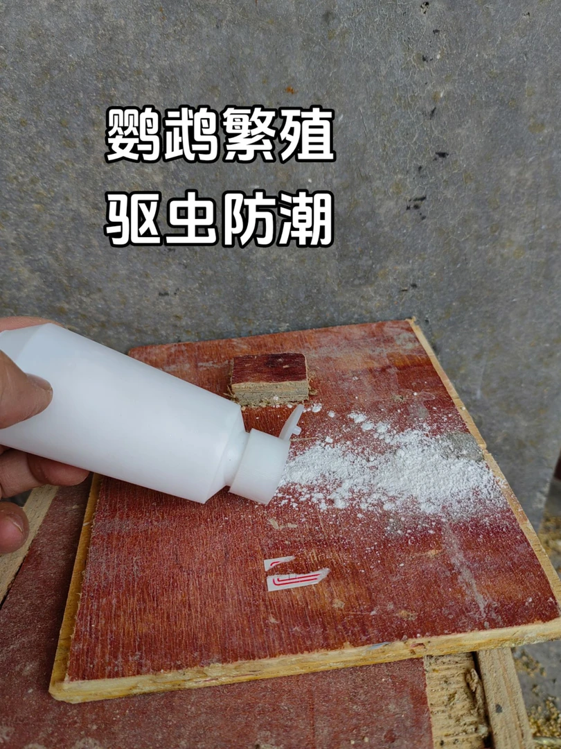 鹦鹉繁殖窝驱虫散