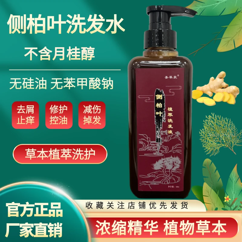 无月桂醇洗发水柔顺天然养发蓬松持久控油去屑温和清爽安全大容量