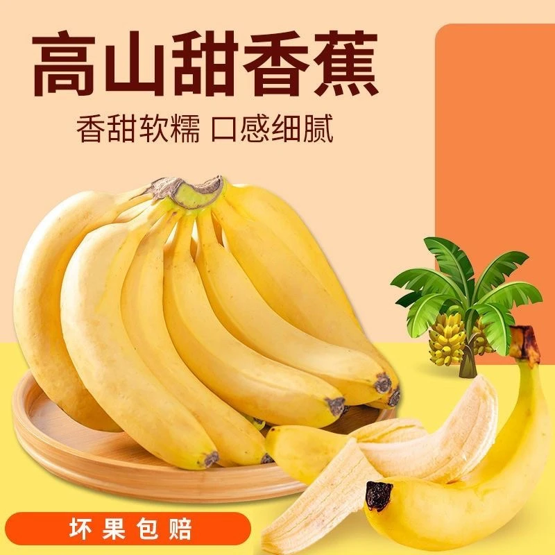 香蕉2/5/9斤新鲜应季水果香甜软糯美味成熟自然食用发货