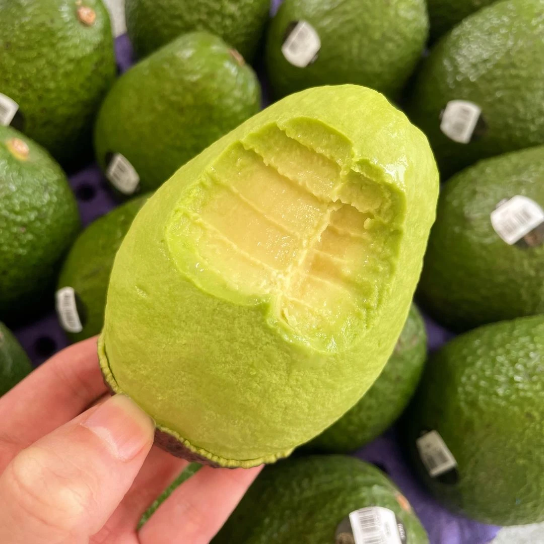 【笑笑专属】正宗哈斯牛油果140-170g宝宝辅食新鲜采摘包邮坏果包赔