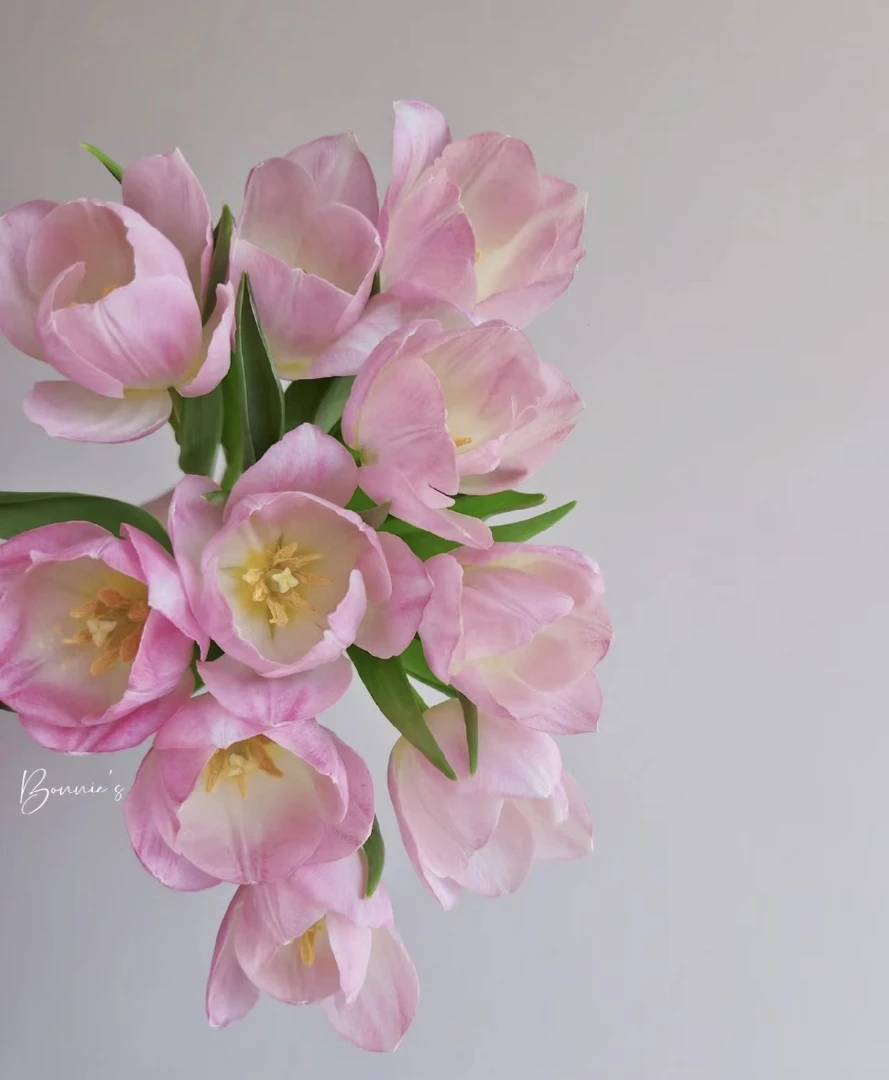 【郁金香】小七的花园  高端花材 进口花材