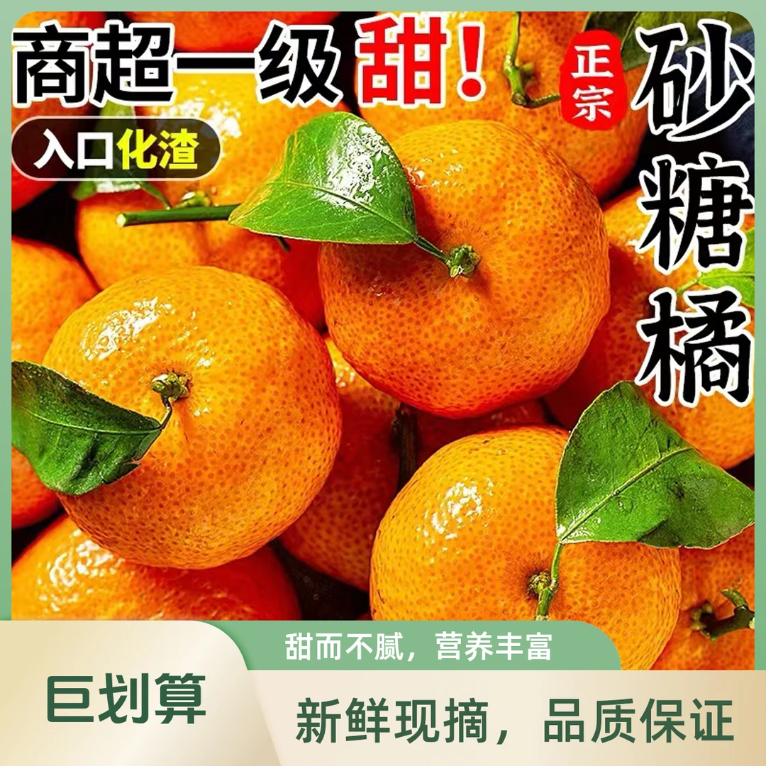 【坏果包赔】正宗广西沙糖桔薄皮当季现摘新鲜水果甜蜜桔整箱