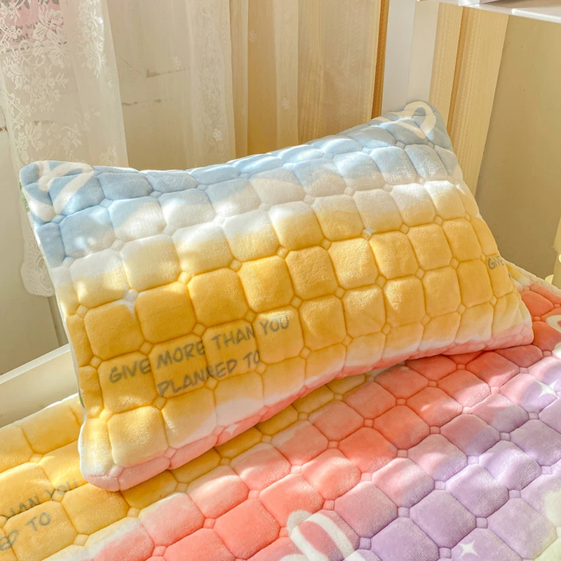 加厚夹棉牛奶绒枕套一对装冬儿童卡通珊瑚绒枕头套单人枕芯内胆套