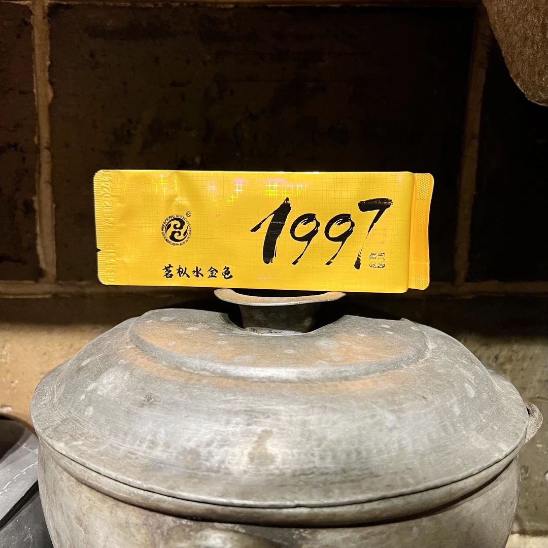 1997年陈茶茗枞·水金龟 武夷山岩茶大红袍 梅花香 醇厚柔和