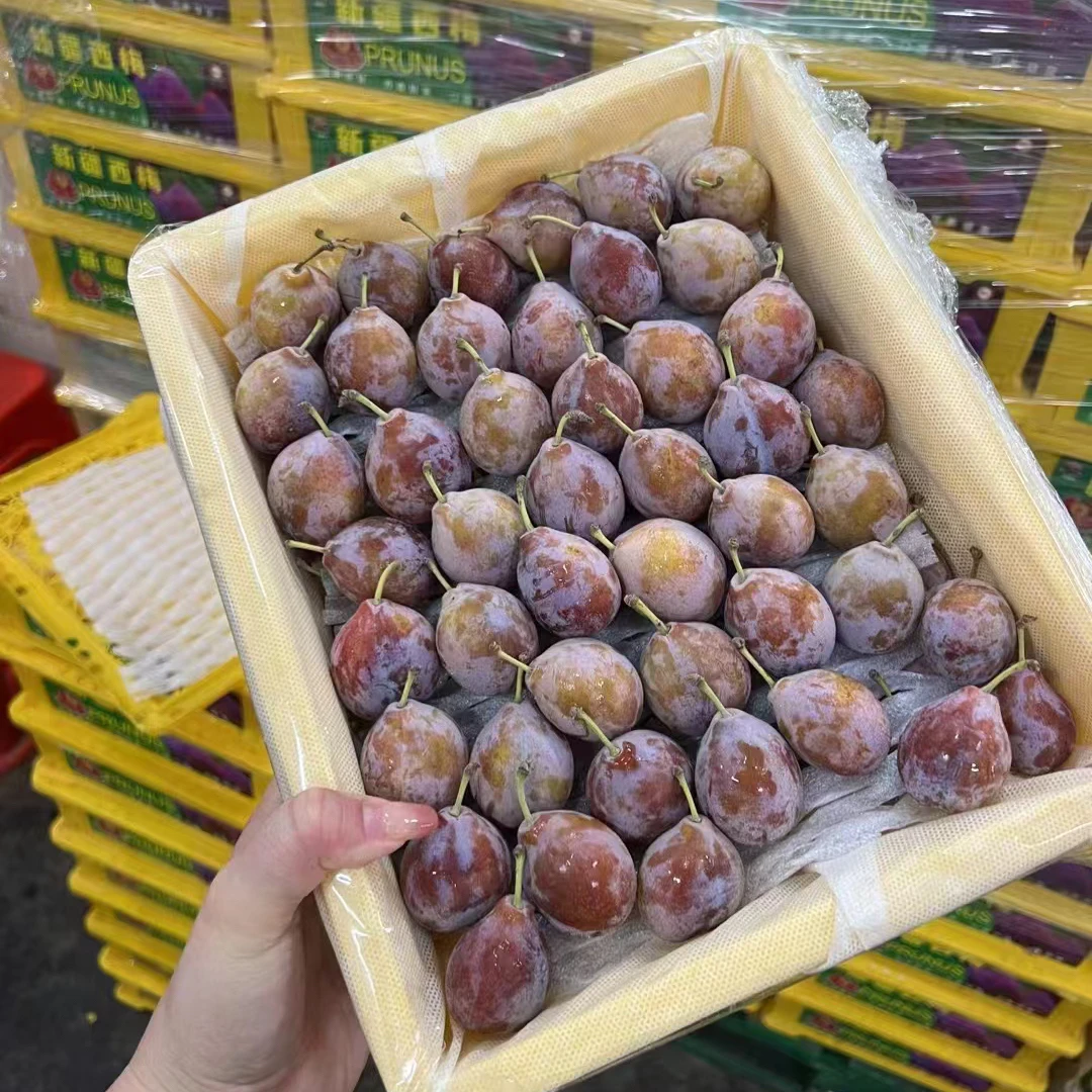 [北流同城配送] 新鲜新疆西梅 3斤
