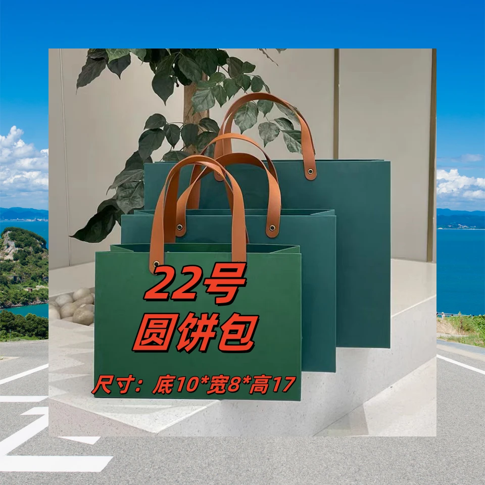 AA  22号 秋冬火爆气质时尚轻奢 手提单肩斜挎  圆饼包 米白色