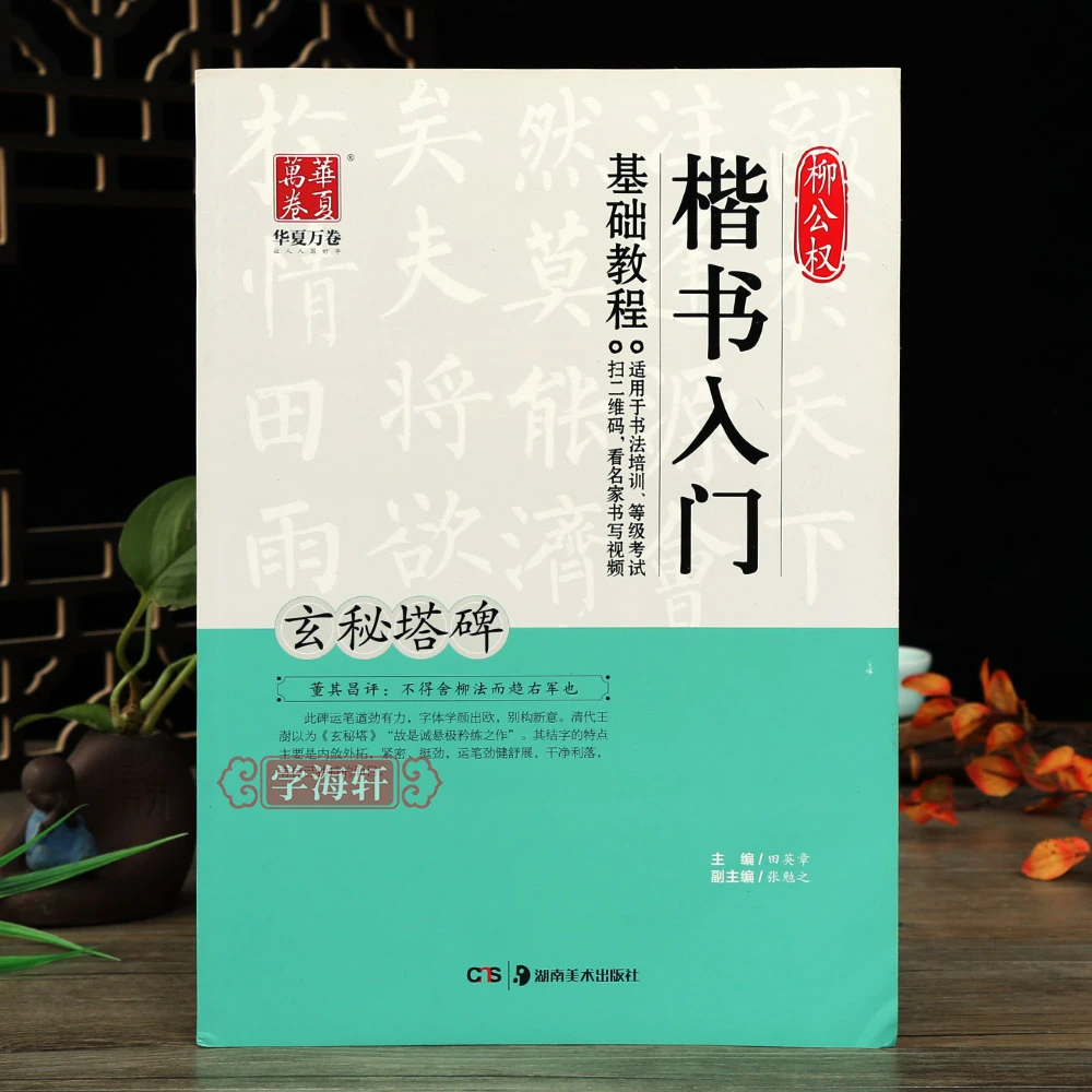 柳公权玄秘塔碑楷书入门基础教程视频笔画偏旁部首结构章法作品