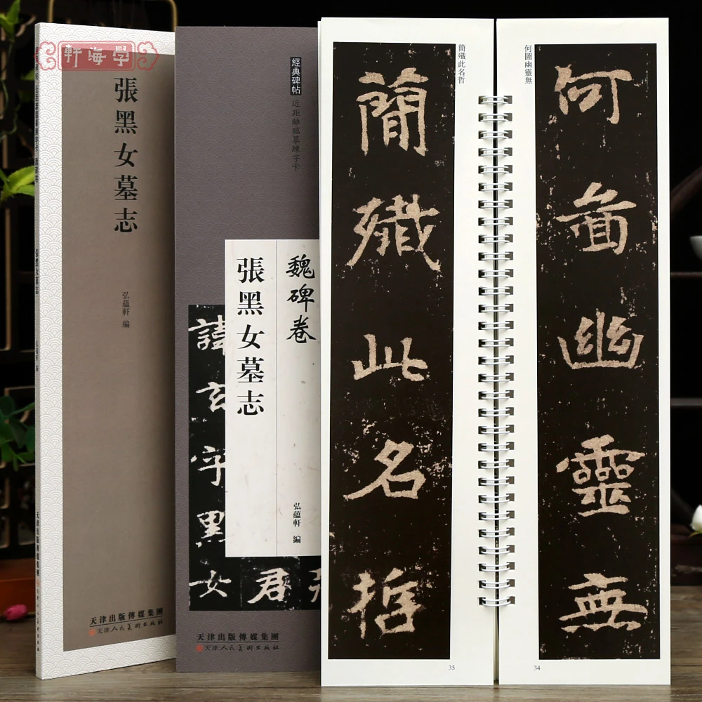 张黑女墓志近距离临摹练字卡魏碑卷原色原帖繁体旁注魏碑张玄楷书
