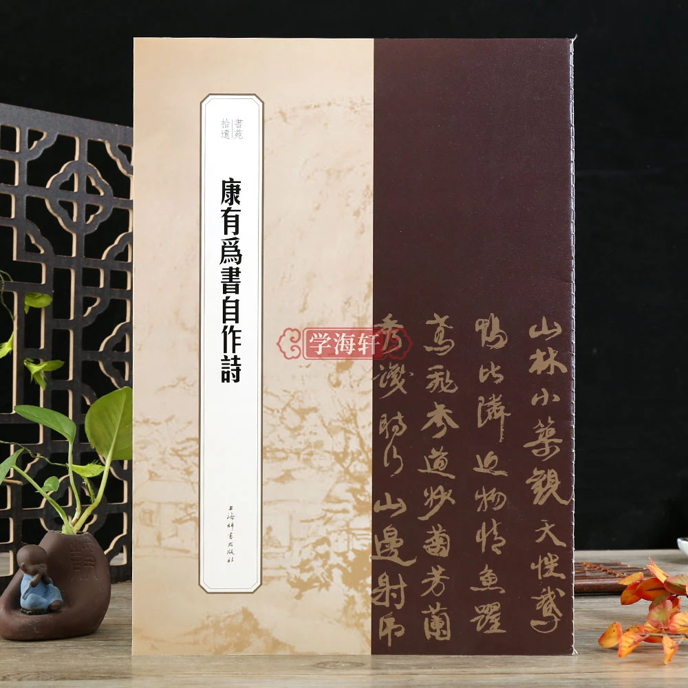学海轩康有为书自作诗书苑拾遗繁体旁注成人学生临摹书法毛笔字帖