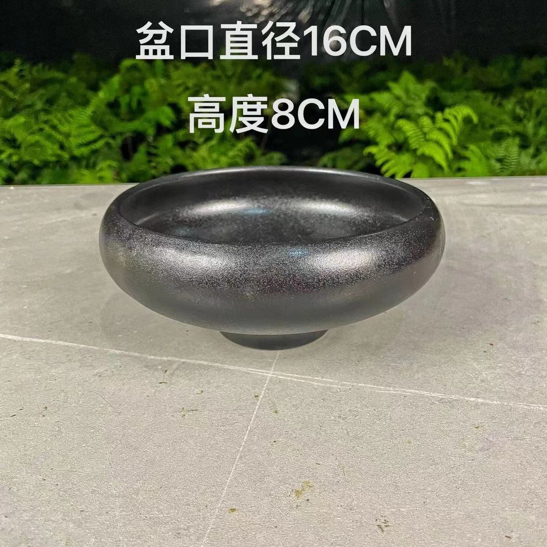 水培盆器 蕨类植物黑色无孔盆器