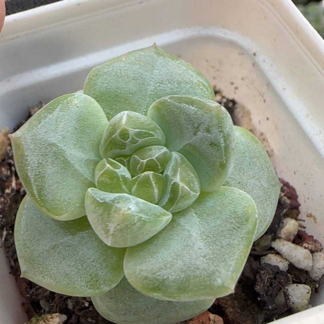 313哈哈哈哈哈哈